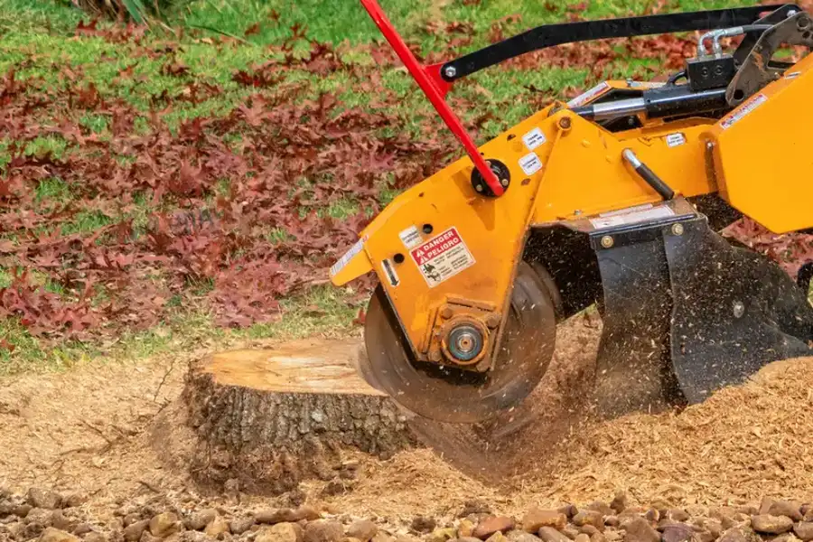 Excellent Stump Grinding Greensboro, NC Excellent Stump Grinding Greensboro, NC