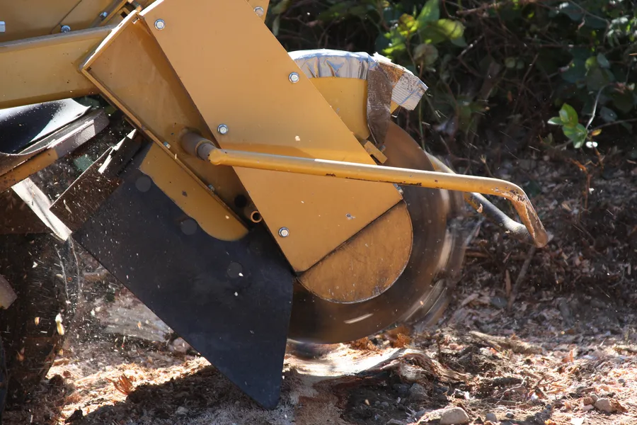 How To Choose The Right Stump Grinding Service For Your Needs Greensboro, NC How To Choose The Right Stump Grinding Service For Your Needs Greensboro, NC