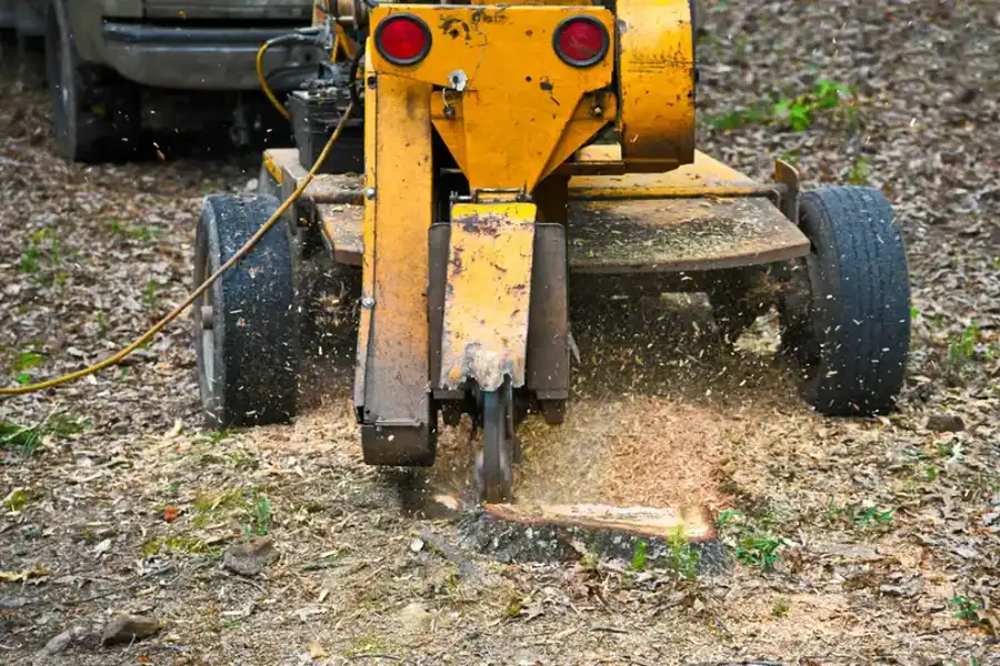 How To Choose The Right Stump Grinding Service For Your Needs in Greensboro, NC How To Choose The Right Stump Grinding Service For Your Needs in Greensboro, NC