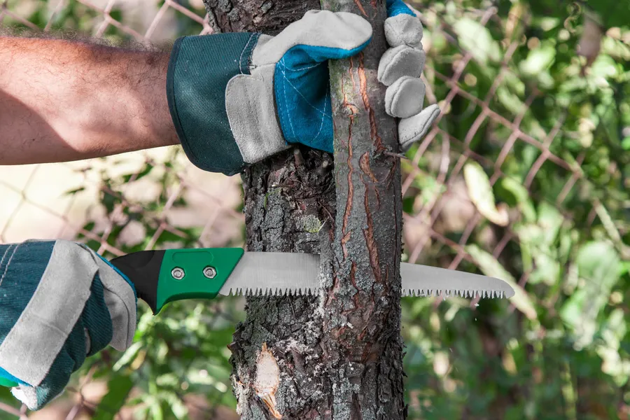How Tree Trimming Prevents Storm Damage To Your Home in Greensboro, NC How Tree Trimming Prevents Storm Damage To Your Home in Greensboro, NC