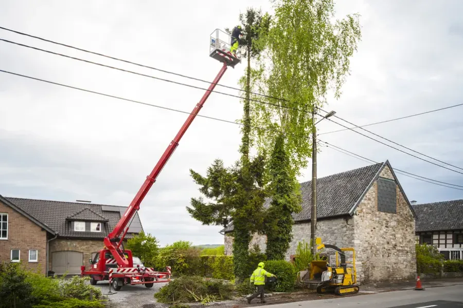 Local Tree Trimming Service Greensboro, NC Local Tree Trimming Service Greensboro, NC