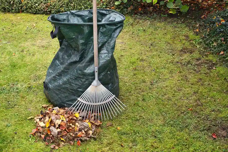 Other Services by Pegram Tree Service