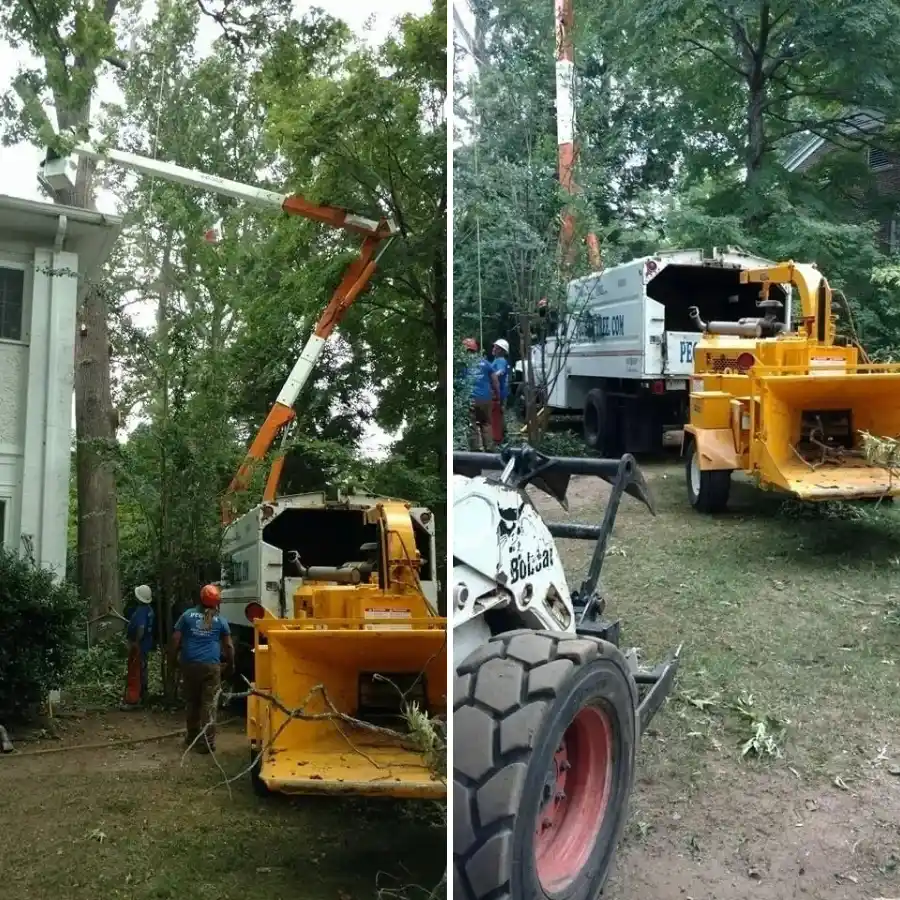 Reliable Tree Company Reliable Tree Company