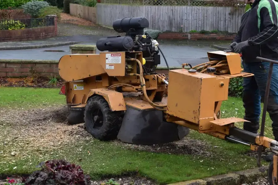 Top-rated Stump Grinding Greensboro, NC Top-rated Stump Grinding Greensboro, NC